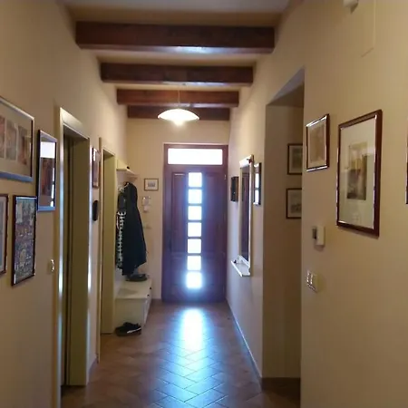 Pelso Zamárdi